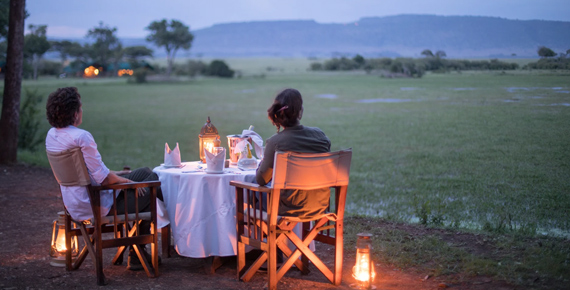 Roam the Untamed: Your Safari Awaits