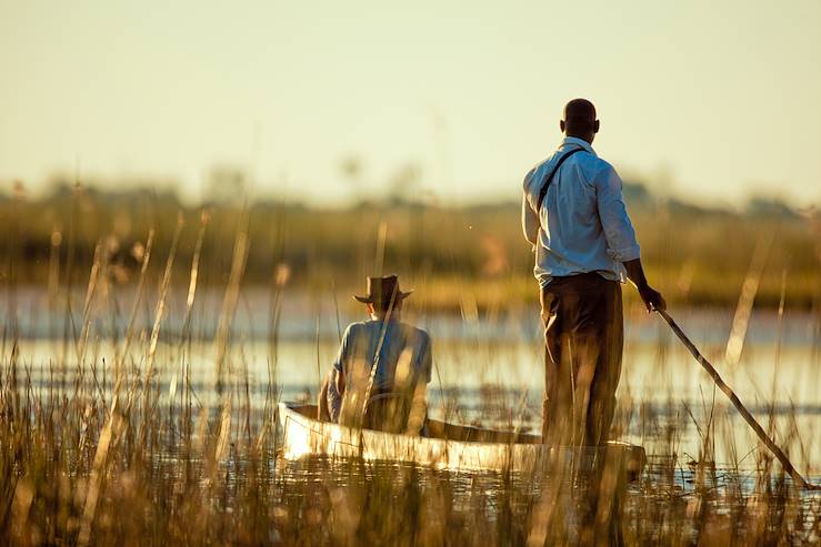 Discover the hidden wonders of the savanna on a safari that brings you face-to-face with its most fascinating inhabitants.