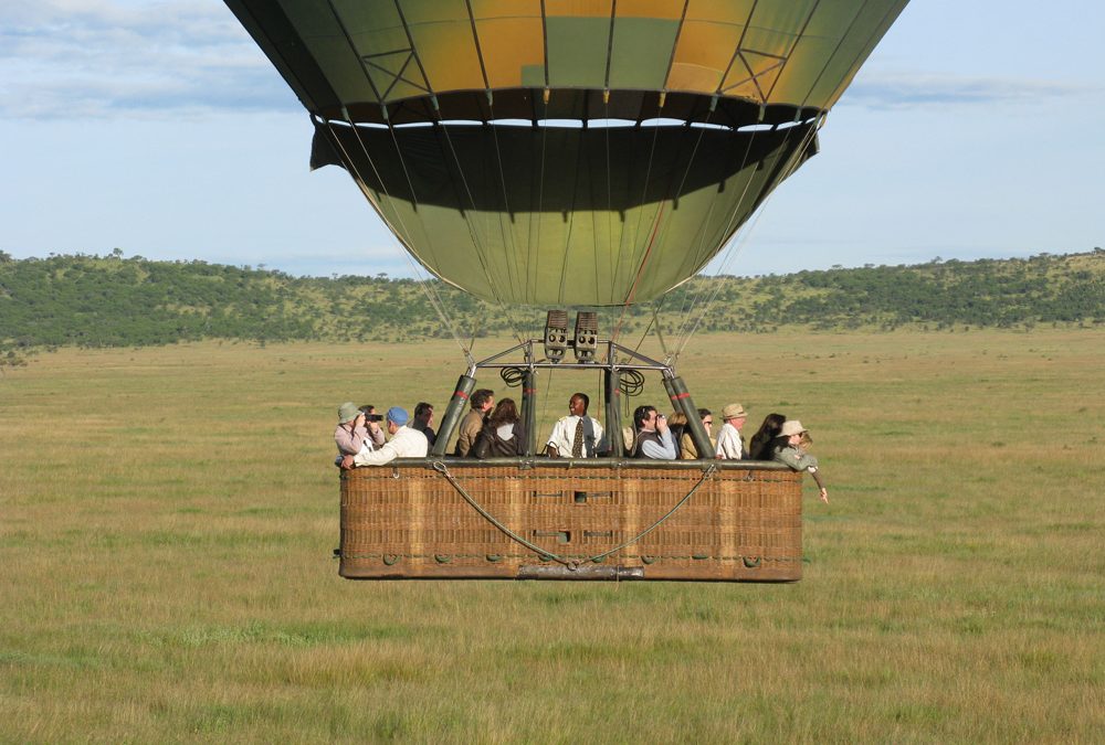 Discover the hidden wonders of the savanna on a safari that brings you face-to-face with its most fascinating inhabitants.