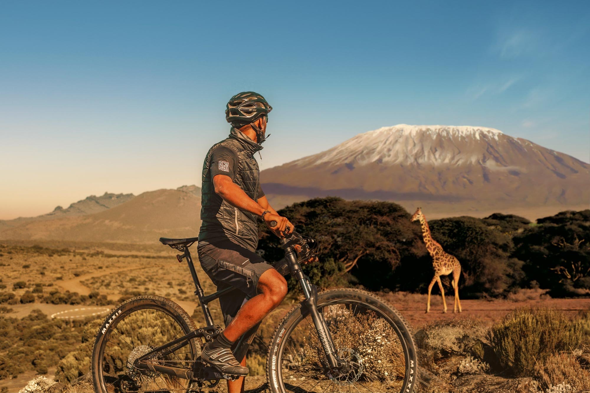 a man on a bicycle with a giraffe in the background