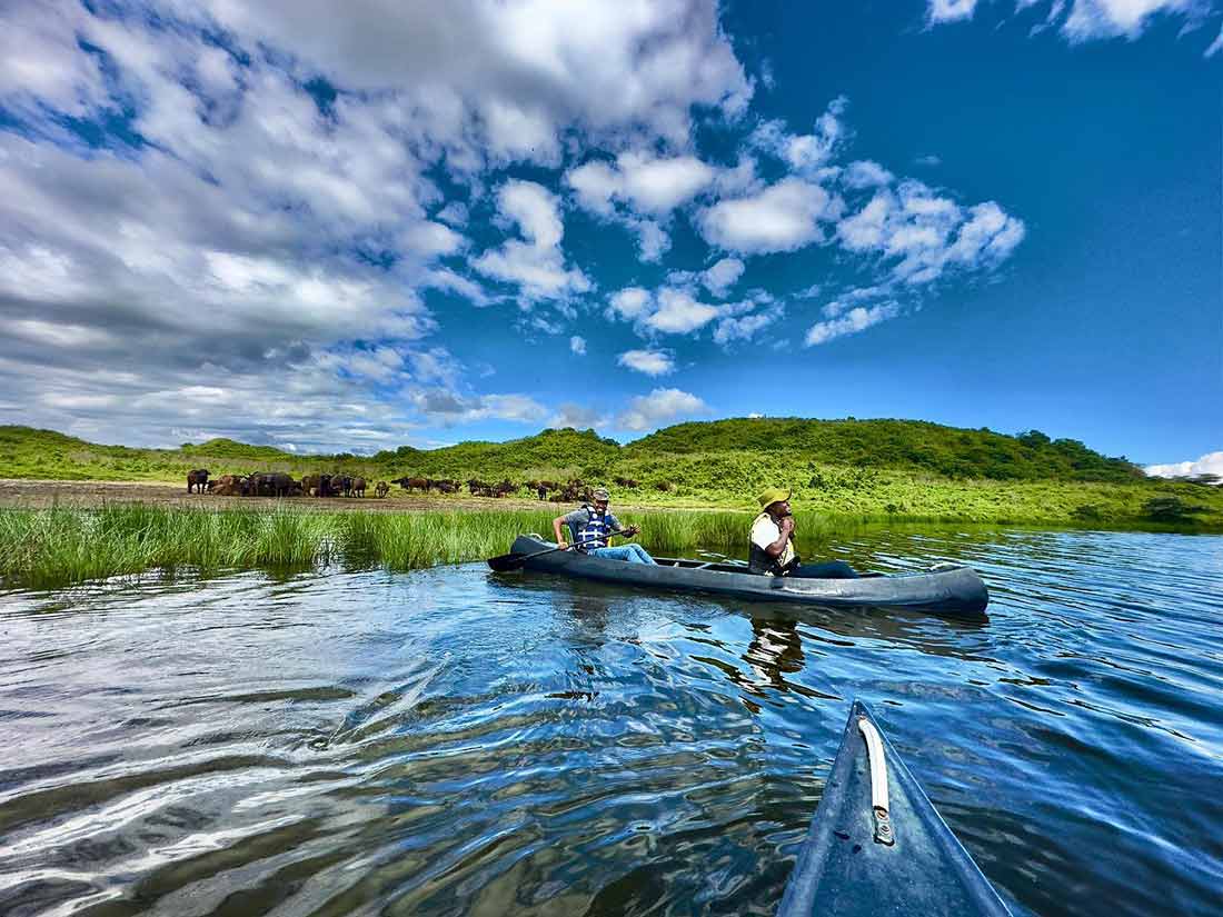 Discover the hidden wonders of the savanna on a safari that brings you face-to-face with its most fascinating inhabitants.