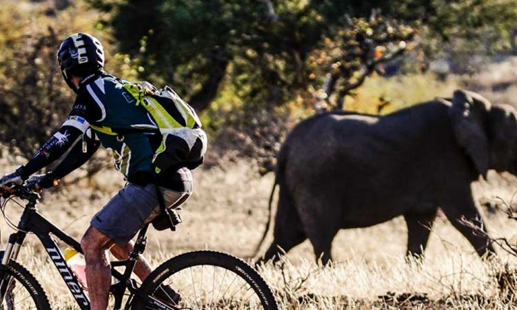 a man riding a bike next to an elephant