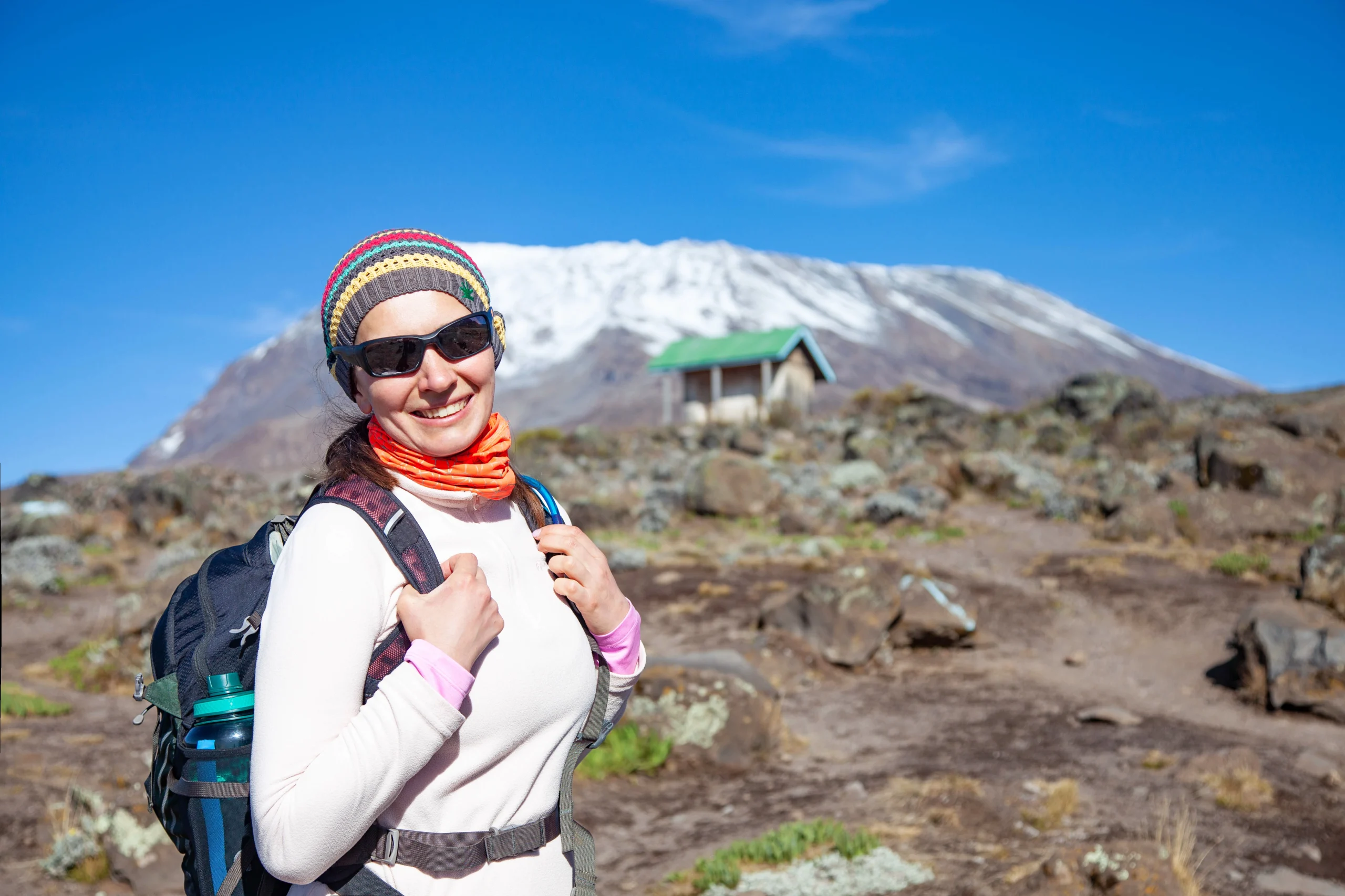 Kilimanjaro Experience Nature's Majesty on Safari