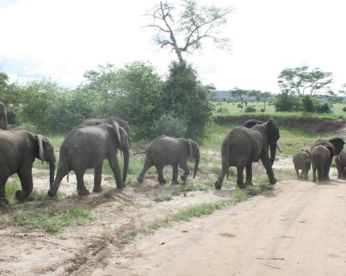 1726270585515_cropped