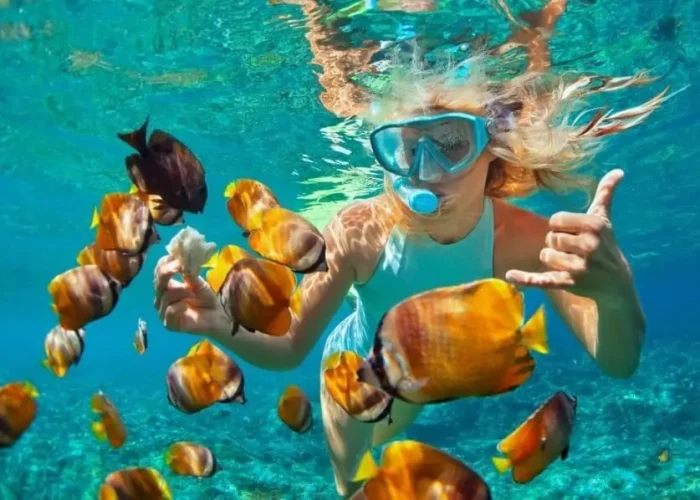 Blue-Safari-Snorkeling-in-Znazibar